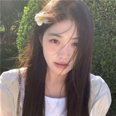海紫封面